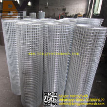 Stainless Steel Hot-Dipped Galvanized Welded Wire Mesh